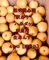 生あんず 「訳あり」小傷やアザ有り 4キロ 加工用 [6月下旬〜7月上旬発送予定] 信州 千曲市 産地直送 杏 ジャム シロップ漬け あんず酒  ドライアンズ 送料込み