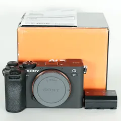a7cⅡ シルバー　ショット数約5000 美品 71GGA9xTPRL._UF1000,1000_QL80_.jpg
