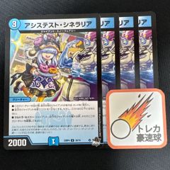 アシステストシネラリア アシステスト・シネラリア 4枚セット【DM0885】