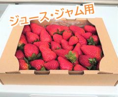 スカイ様専用