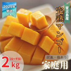 【予約商品】宮古島産　完熟マンゴー　家庭用　炭素　傷あり　2キロ　（7月頃発送）