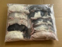 【送料無料】国産冷凍ラット30サイズ10匹入@即購入OK！北海道・沖縄の方も送料無料です！