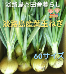 淡路島産 葉玉ねぎ「スーパーアップ」「貴錦」淡路島玉ねぎ 新玉ねぎ