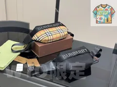 【今日WTO】Burberry ワイドベルトバッグ-WTO輸入2-FN86