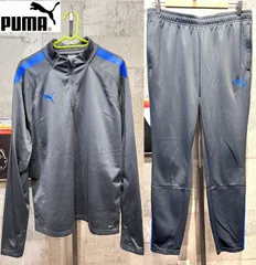 美品 プーマ TEAMLIGA25 1/4ジップトップ/パンツ 薄手ジャージ 上下セットアップ XL メンズ PUMA 657492-44
