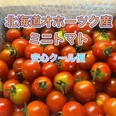 北海道オホーツク産ミニトマト2.5キロのサムネイル