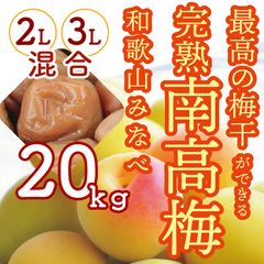 今ならまだ間に合う!!!] 完熟梅 南高梅 和歌山県 みなべ産 2kg