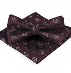 蝶ネクタイ　ポケットチーフ　2点セット　ペイズリー柄　ワインレッド色　ブラウン色　シルバー色　銀色　ホワイト色　ワンタッチネクタイ　結婚式　発表会 パーティー イベント ダンスパーティー バーテンダー ワイシャツ スーツ 格安　卒業式　卒園式　入学式　入社式