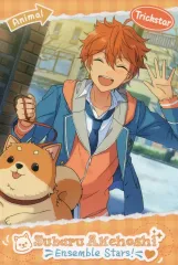 【中古】ポストカード 明星スバル(キラキラの舞台/開花前) 「あんさんぶるスターズ! アニマルポストカード」 中国限定