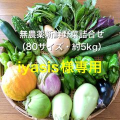 無農薬新鮮野菜詰合せ・iyasis様専用（80サイズ・約5Kg）