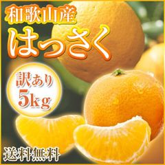 【予約】はっさく 八朔 和歌山県産 訳あり 八朔  5kg  みかんの次はハッサク