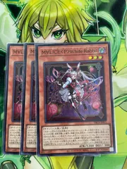 YCSJ M∀LICE ＜P＞White Rabbitスリーブ　　3セット YCSJ M∀LICE ＜P＞White Rabbitスリーブ3セット