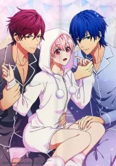 【中古】ポスター [単品] B3サイズ布ポスター 中山ひなこ＆吉良麟太郎＆鬼ヶ島鳳凰 「Switchソフト 喧嘩番長 乙女 ダブルパック スペシャルステラセット」 同梱特典