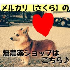 農薬不使用・生ぬか 300g さくらの米ぬか- メルカリ
