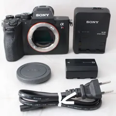 2025年最新】 α7RⅣ ILCE-7RM4の人気アイテム - メルカリ