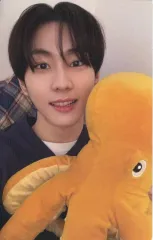 【中古】コレクションカード(男性) ENHYPEN/ジョンウォン(JUNGWON)/CD「ROMANCE ： UNTOLD」(ENGENE ver.)フォトカードA