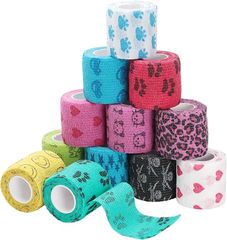 Item thumbnail for item 01269183-8010-4620-ac66-54b91069cd55