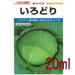 カネコ種苗　いろどりキャベツ　２０ｍｌ