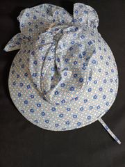 Item thumbnail for item 3ca14a5e-bf6e-4d3d-bb4c-c24daa4407cd