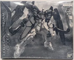 BANDAI SPIRITS MG 1/100 バンダイスピリッツ版 ガンダムサンドロック EW アーマディロ装備