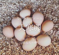 ながみねファーム大寒卵（有精卵）10個セット