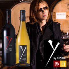 Y by Yoshiki 2019 - メルカリ