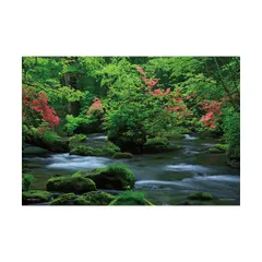 奥入瀬渓流新緑油絵F6号サイン入り額入り斉藤孝治もうすぐ新緑