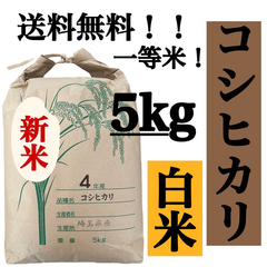 白米　5kg コシヒカリ　新米　埼玉県産　令和4年産　送料無料　米　5キロ