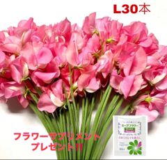 産直！スイートピー専門店lovekazu - メルカリShops