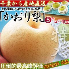 【予約:8/30～9/25予定】かおり梨 約5kg 5～10玉 大玉サイズ 秀品～優品 千葉県産 贈答可能 生産量の少ない幻の梨！爽やかな甘い香りと優秀な味わい