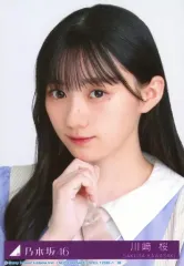 2025年最新】川崎桜 ここにはないものの人気アイテム - メルカリ