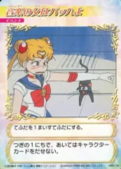 2025年最新】セーラームーン カードゲームコレクションの人気