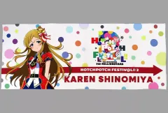 【未使用】ミリオンライブ　ハッチポッチ２　公式キャラファイングラフ THE IDOLM@STER 765 MILLIONSTARS HOTCHPOTCH FESTIV@L!! 2 開催記念