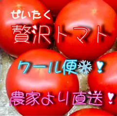 贅沢トマト🍅(ぜいたくとまと)＋α　農家👩‍🌾直送！クールメルカリ便❄60サイズ