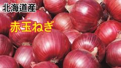【大容量】淡路産 赤玉ねぎ L大サイズ 5kg入   ★9