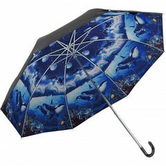 Item thumbnail for item b1e666bb-ecaa-4b8d-a8c2-695216472866