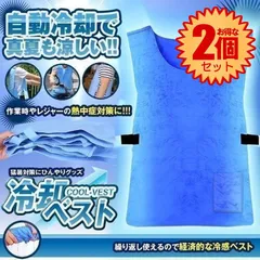 【2個セット】 冷却ベスト クールベスト 冷感ベスト 空調服 熱中症 猛暑対策 冷却服 ひんやりグッズ 保冷 工事現場 工場内 屋外 スポーツ