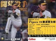 藤浪晋太郎・大谷翔平 BBM特別カード