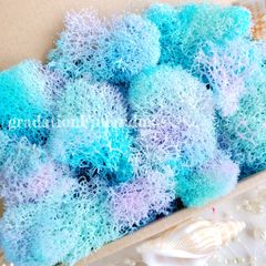 フィンランドモス*.❁アクア　プリザーブドフラワー　海素材　花材　加工花材