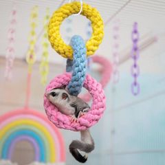 Item thumbnail for item fd2ecd47-2c30-4bdc-9e77-e92caf67acc5