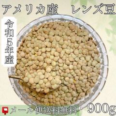 令和5年産　アメリカ産レンズ豆 900g入り　【送料無料】【メール便】【代引き不可】