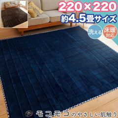 ラグ カーペット 220×220 約 4.5帖 4.5畳 洗える フランネル 綿入り ラグマット おしゃれ 無地 シンプル オールシーズン ホットカーペット 床暖房 対応 ウォッシャブル