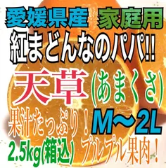 2024年最新】家庭用 紅まどんなの人気アイテム - メルカリ