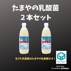 たまやの乳酸菌　2本セット