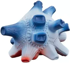 2025年最新】ブルトン ソフビの人気アイテム - メルカリ