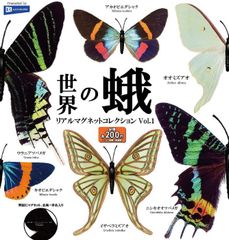 世界の蛾 リアルマグネットコレクションVol.1     全6種セット  ガチャガチャ