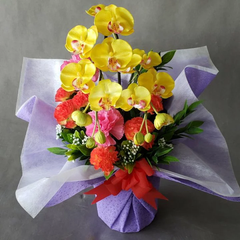 母の日アレンジ♪造花アーティフィシャル 胡蝶蘭黄M＆カーネーションアレンジ   高さ60cm×巾30cm 造花・光触媒コーティング
