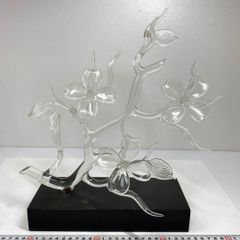 胡蝶蘭(白い妖精！)花器付き！ - メルカリ