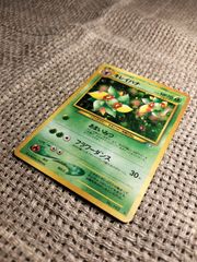 NO004_【美品】キレイハナ_ポケモンカード_旧裏