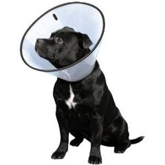 Item thumbnail for item 567825ee-cbb0-4ae3-a337-983c77e52999